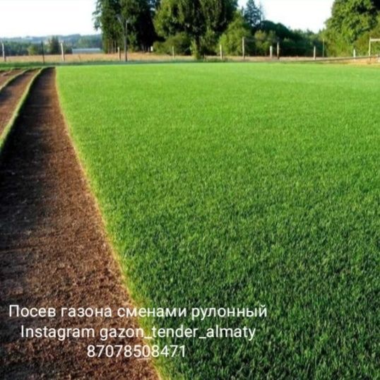 Газон посевной подключ