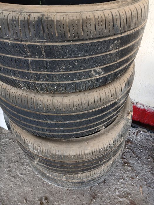 Жаздык донгелектер