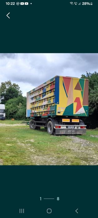 Vand 90 Familii de albine