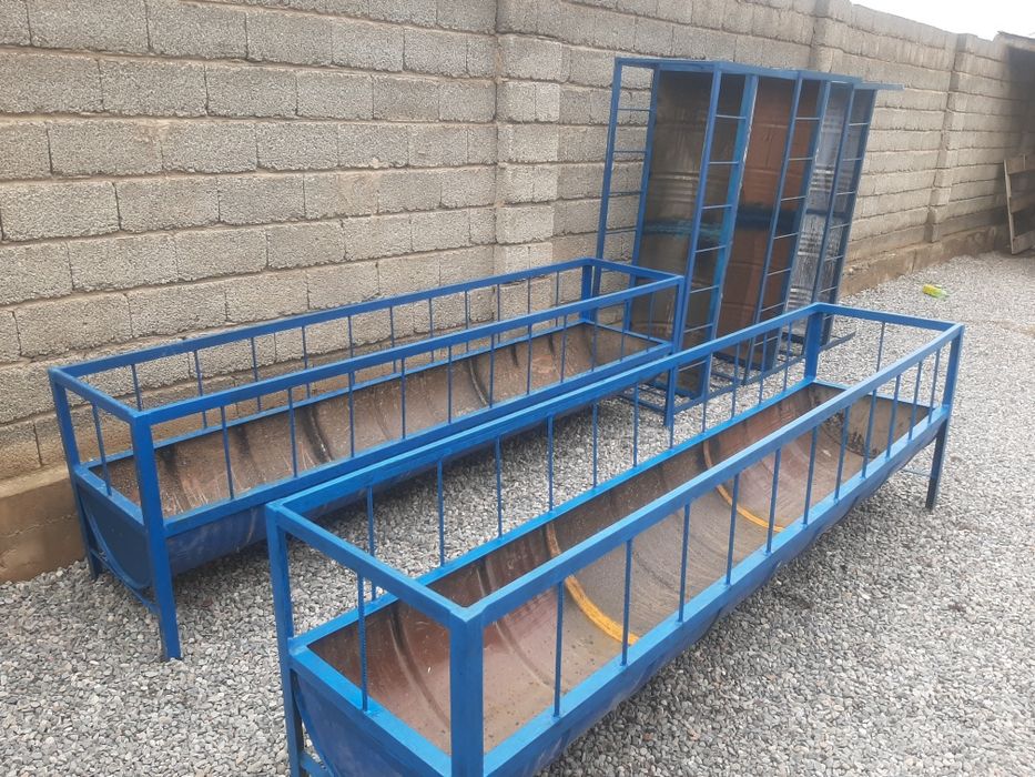 Ақыр. Науа. Карита. Қой. Бидай Шөп.