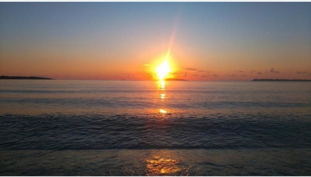 Каравана к-г смокиня