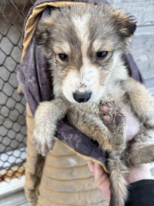 Малыши ищут именно Вас