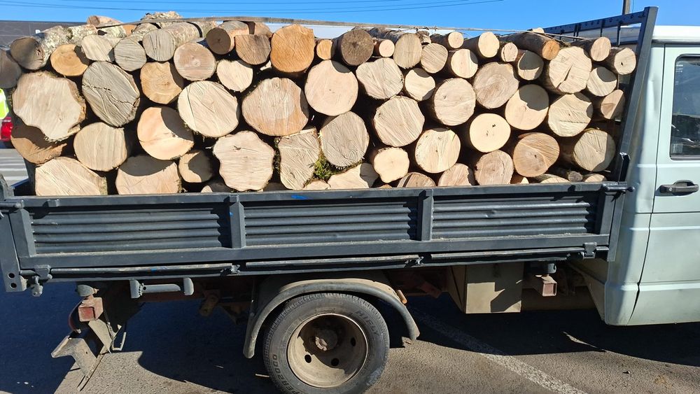 Tai lemne cu moto ferăstrău Stihl.