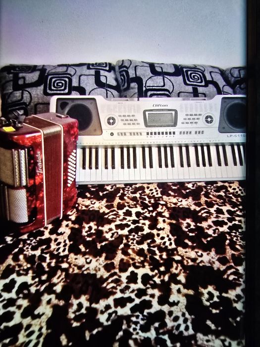 Instrumente muzicale