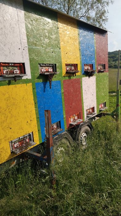 Miere naturala producție proprie