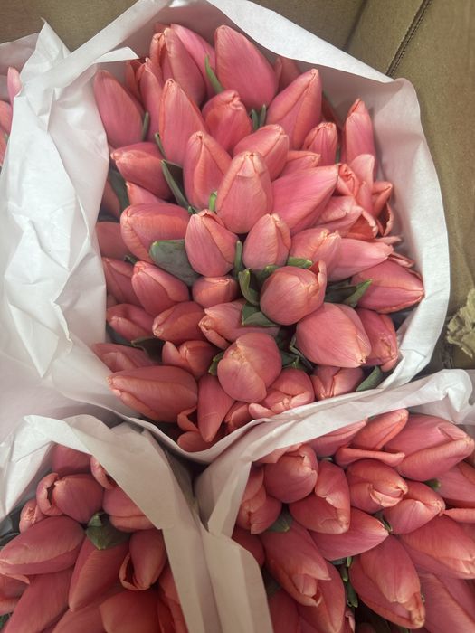 Свежие Тюльпаны.