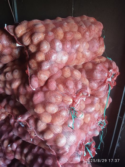 Картофель едовой