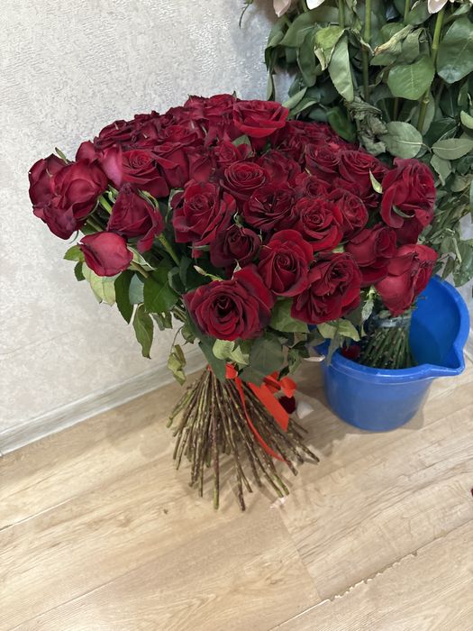 81шт роза свежый бугын келген