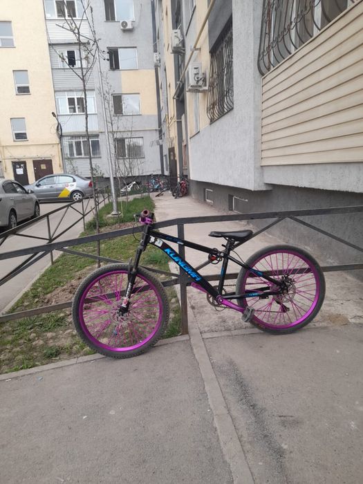 Стант велик Kungma