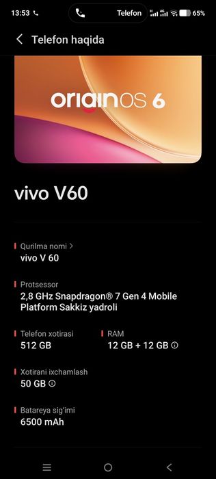 Vivo V60 12+12  512 GB