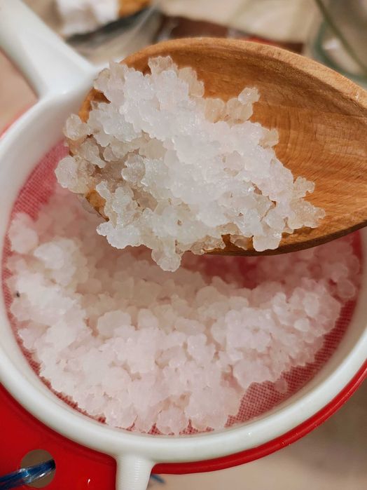 Ciuperca kefir lapte chefir apa Scoby