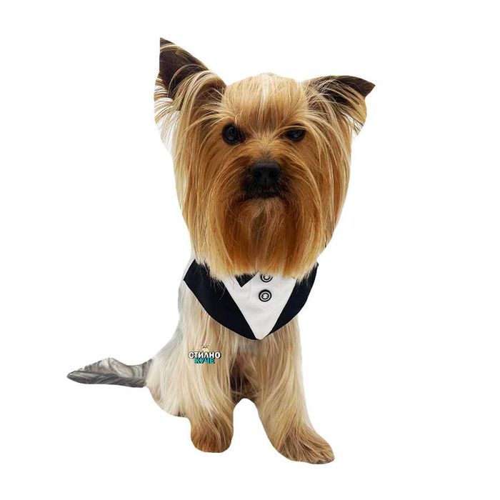 Официален нашийник за дребни/средни/едри породи кучета