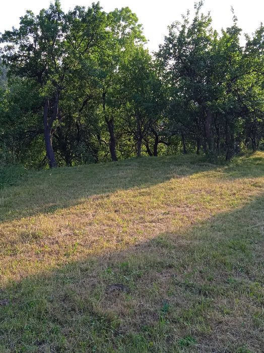 Продавам къща в село Зимевица