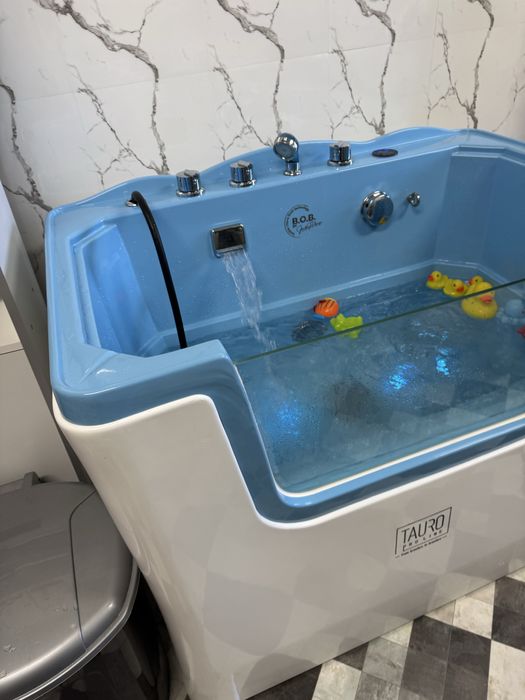 "Tratamente Spa Premium pentru Căței și Pisici în Timișoara"