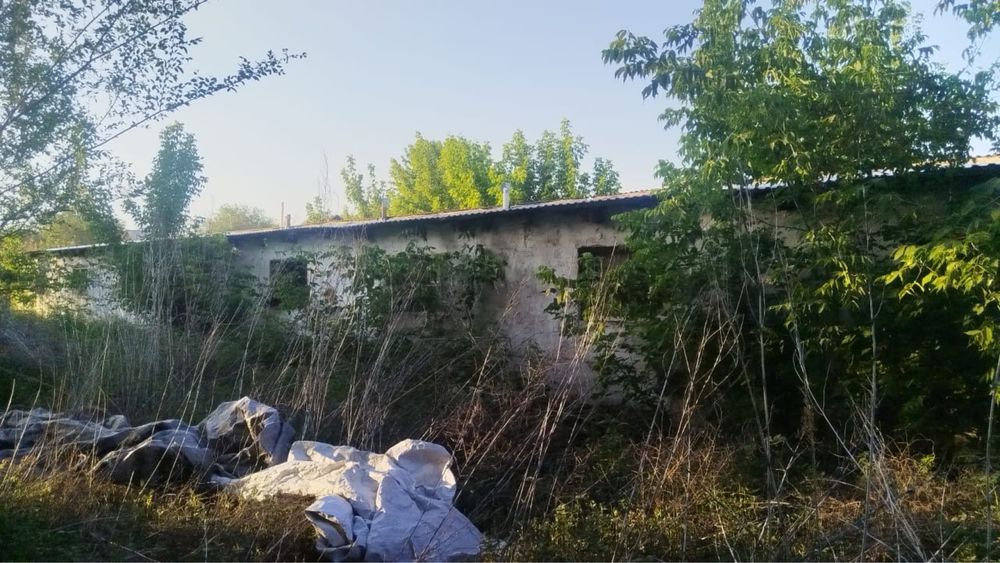 Продам откорм базу