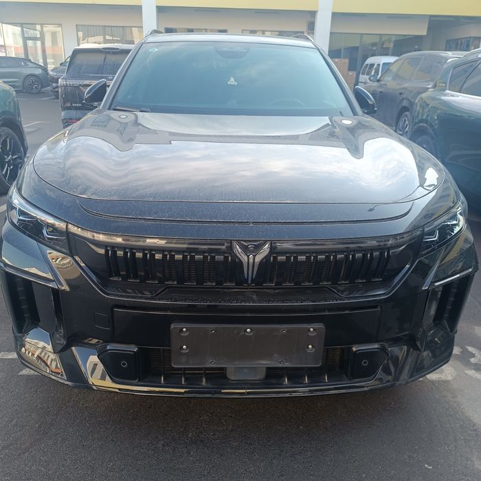 Voyah free full gibrid