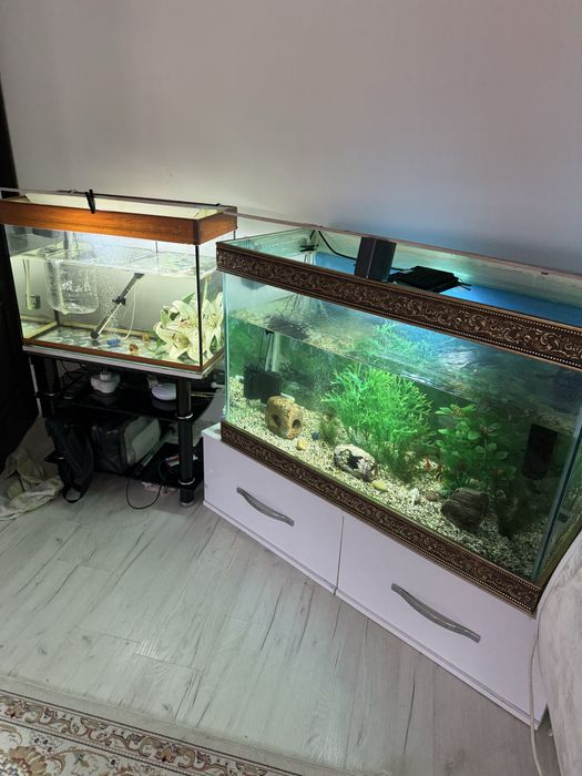 Аквариум 4 штуки