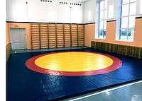 Борцовский ковер (без матов), 10х10м