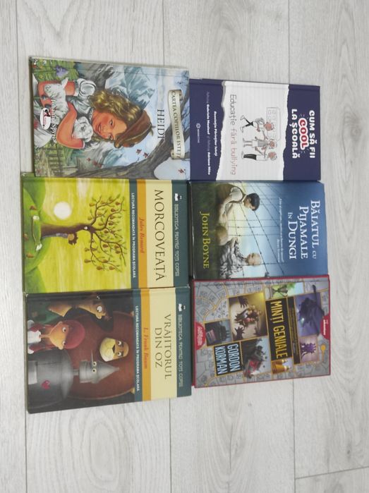 Minunea Inimă de cerneală Jurnalul unui puști Istoria lu Răzvan Isidor