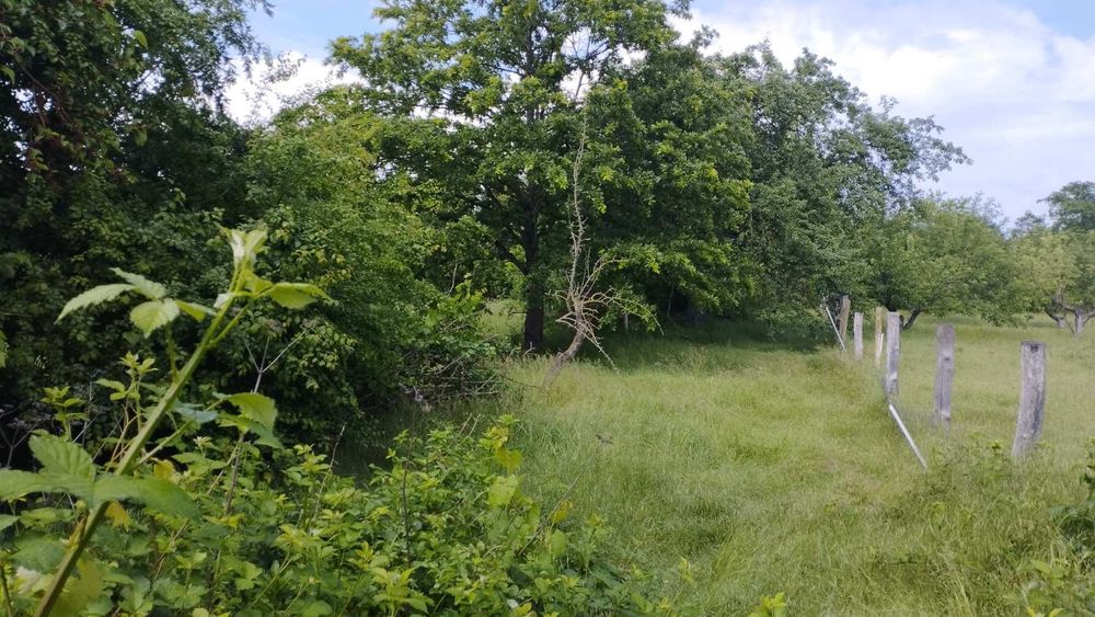 Продава се Парцел в Бургас, Сарафово - 1596 кв.м за 11 €/кв.м - Снимка #1