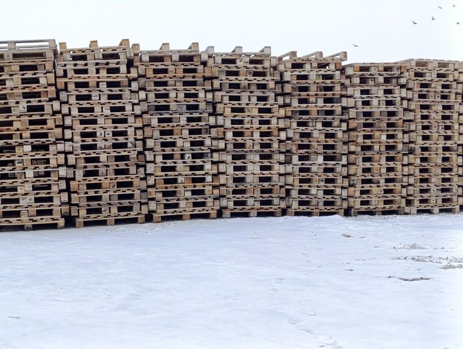 Поддоны 100*120см