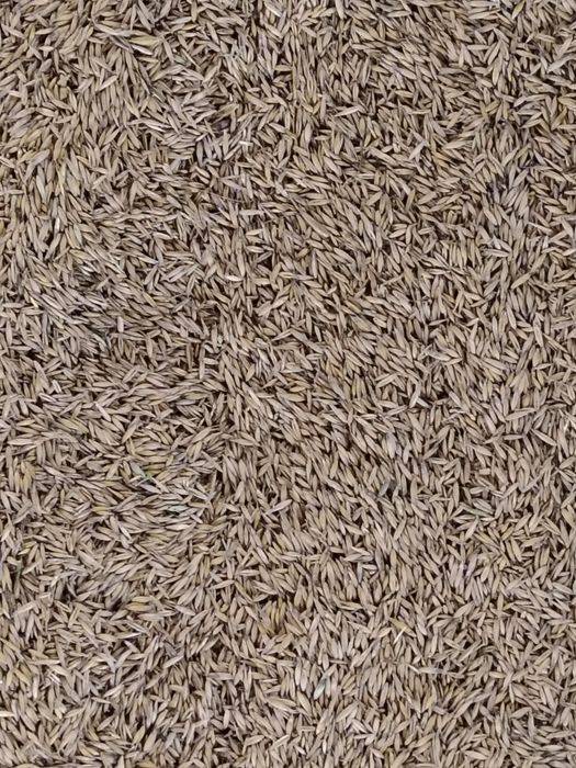 Vand ovăz calitate f bună