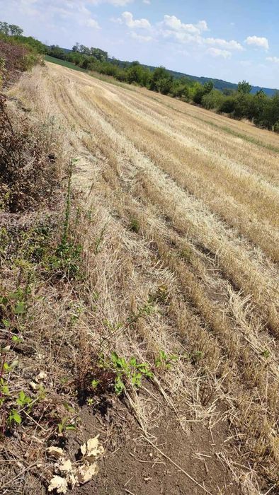 Продава се Земеделски имот в с. Сейдол, Област Разград -  кв.м за 1504 €/дка - Снимка #1