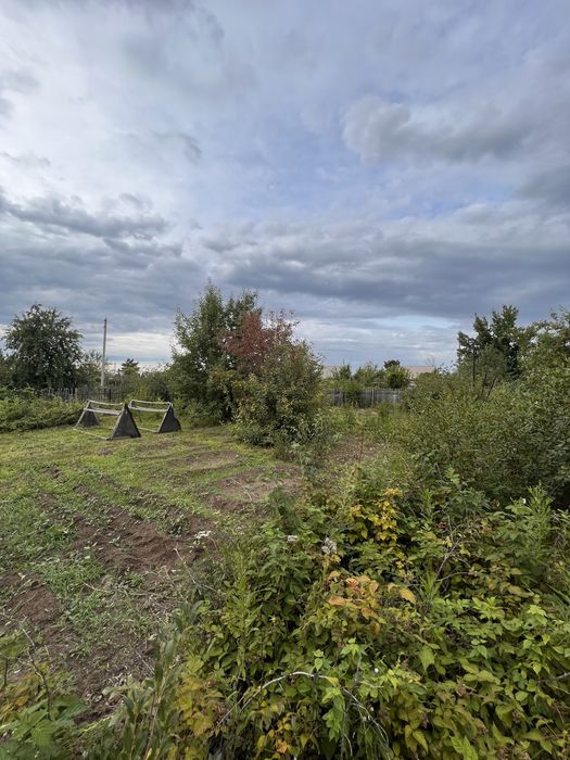 Продам 2 дачи СО «Элеваторщик»