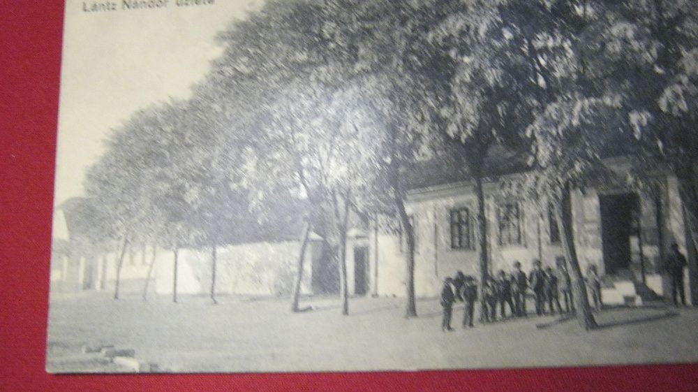 Ilustrata veche,Carte Postala,Szepfalu(Frumuseni),Arad.