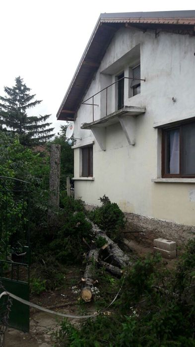 Рязане; кастрене; премахване на опасни дървета с автовишка ( вишка )!