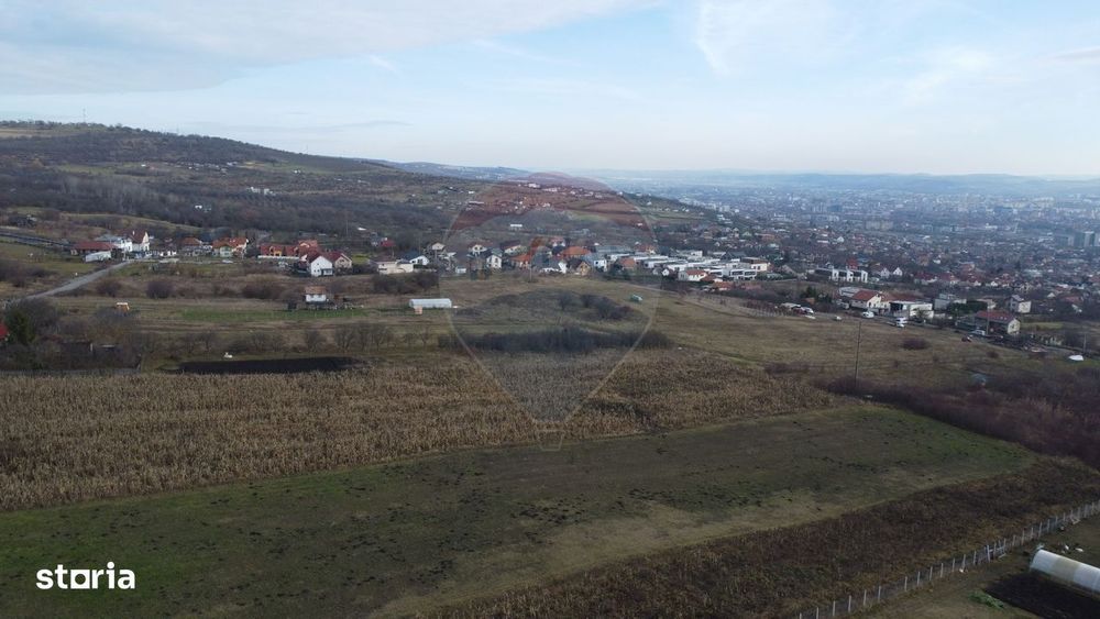 Teren 19.375 mp Dâmbu Rotund. Potențial rezidențial. Extravilan