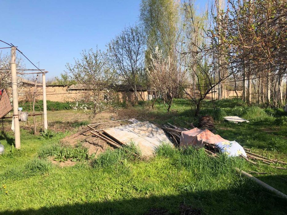 Yer sotiladi toytepada , dacha 25sotx