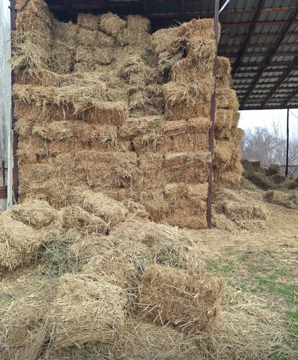 Продам клевер в перемешку с сеном