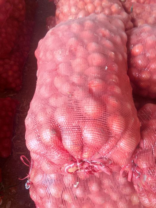 Пиёз (лук) сотилади