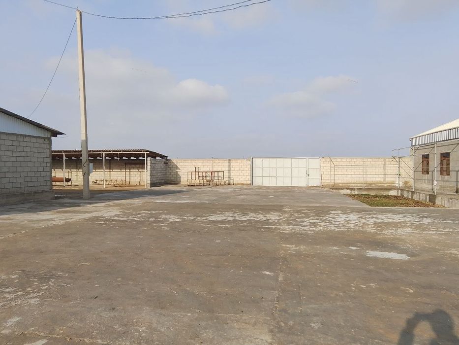 Навоий вилояти Кизилтепа туман марказида жойлашган чорвачилик комплекс