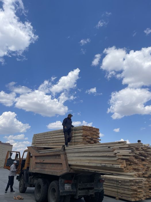 Арзан ағаш Атырау