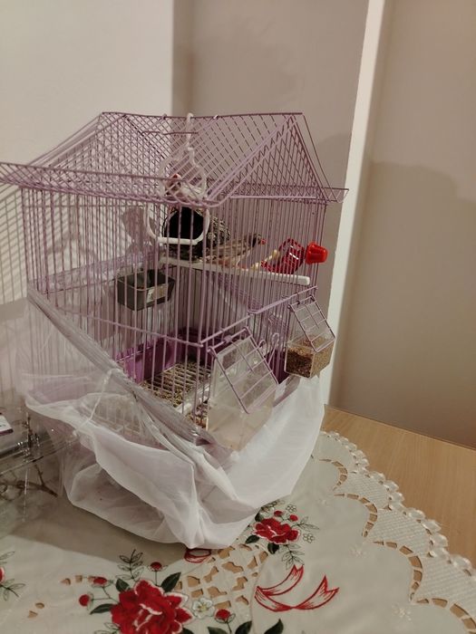 Colivii pentru păsări