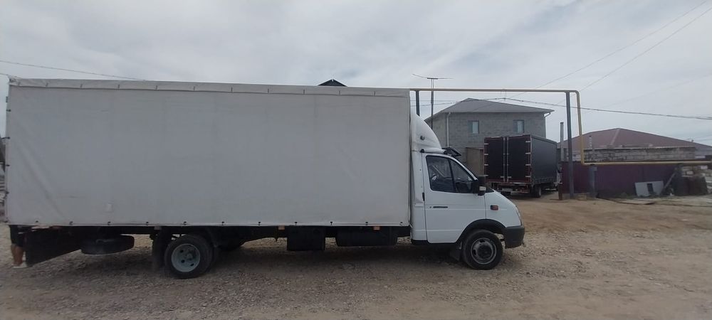 Газель жалданады барлык багытка