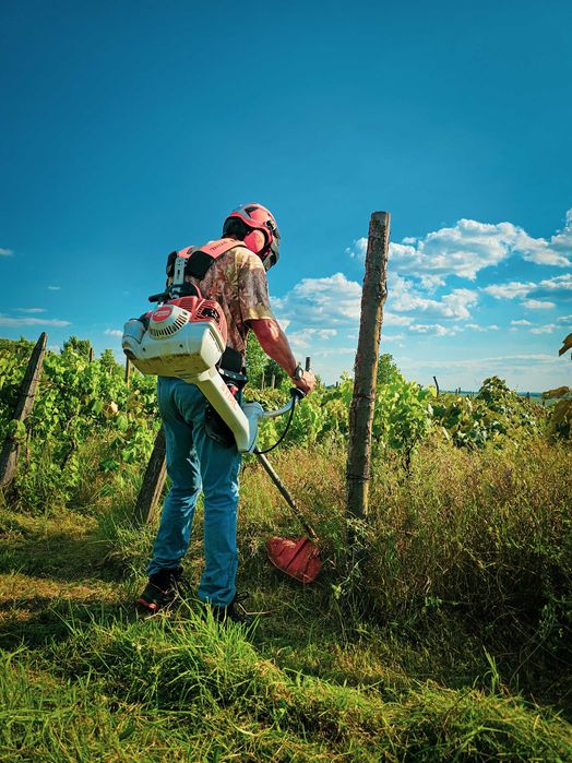 Почистване на терени и дворни места - Варна И Добрич