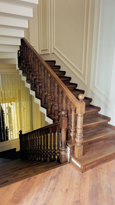 Лесниса зиналарр