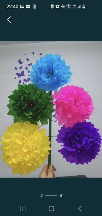 Sorcove lucrate manual