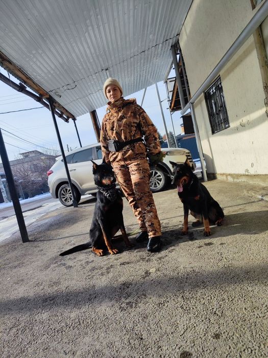 Кинолог, зоопсихолог