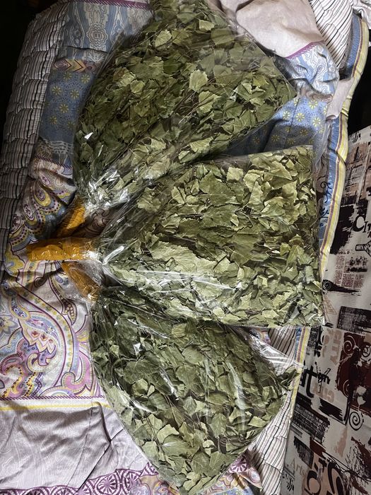 Продам веники для бани