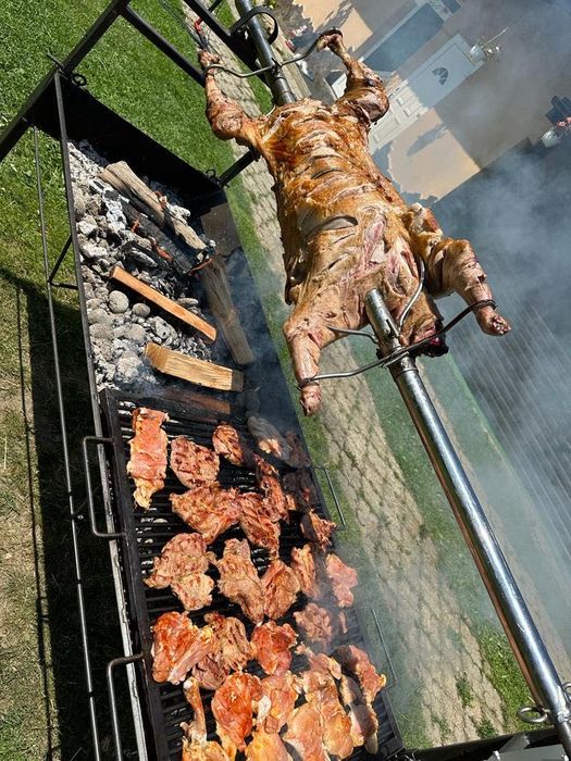 Inchiriez protap-rotisor electric!