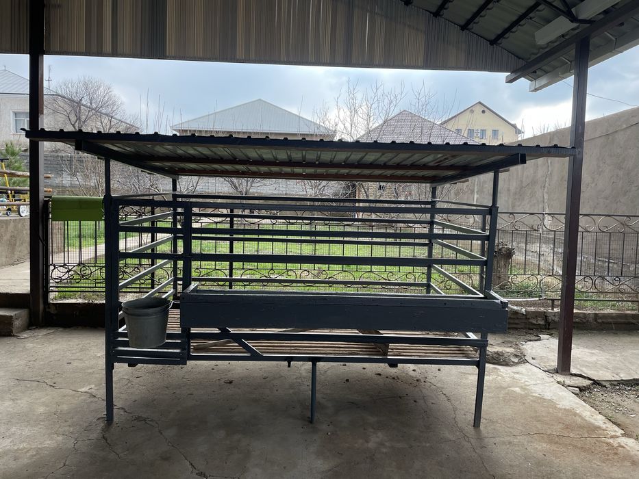 Эвро кора кой кошкар