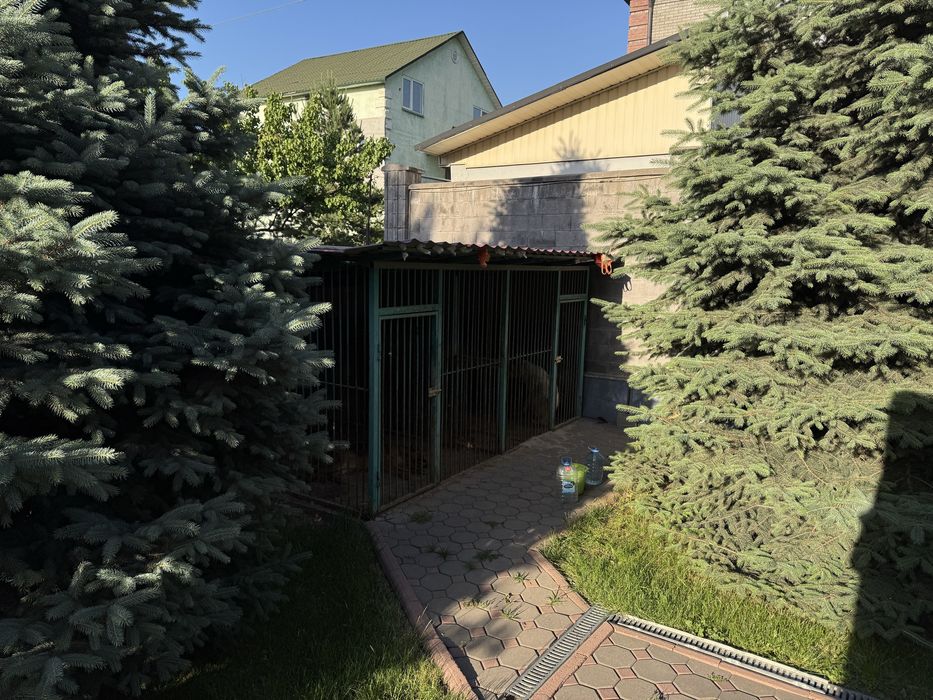 Продам дом в экологически чистом районе города!