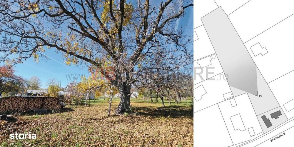 Teren intravilan BREBU MANASTIREI 3163 mp
