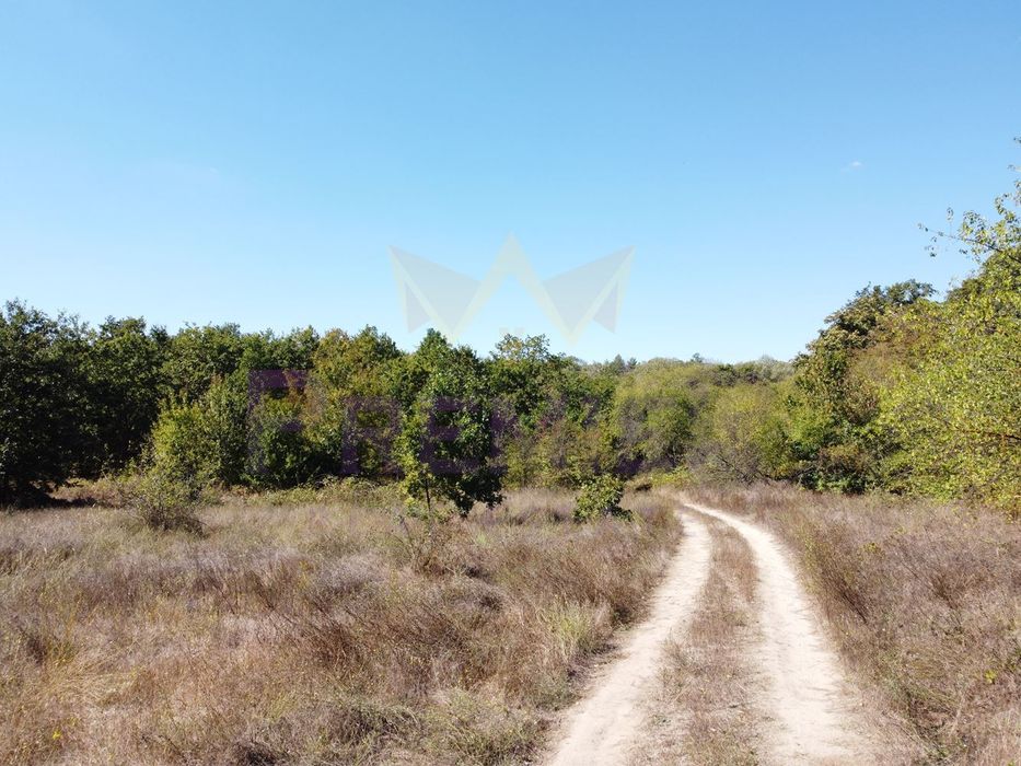 Продава се Парцел в с. Приселци, Област Варна - 2854 кв.м за 9 €/кв.м - Снимка #4