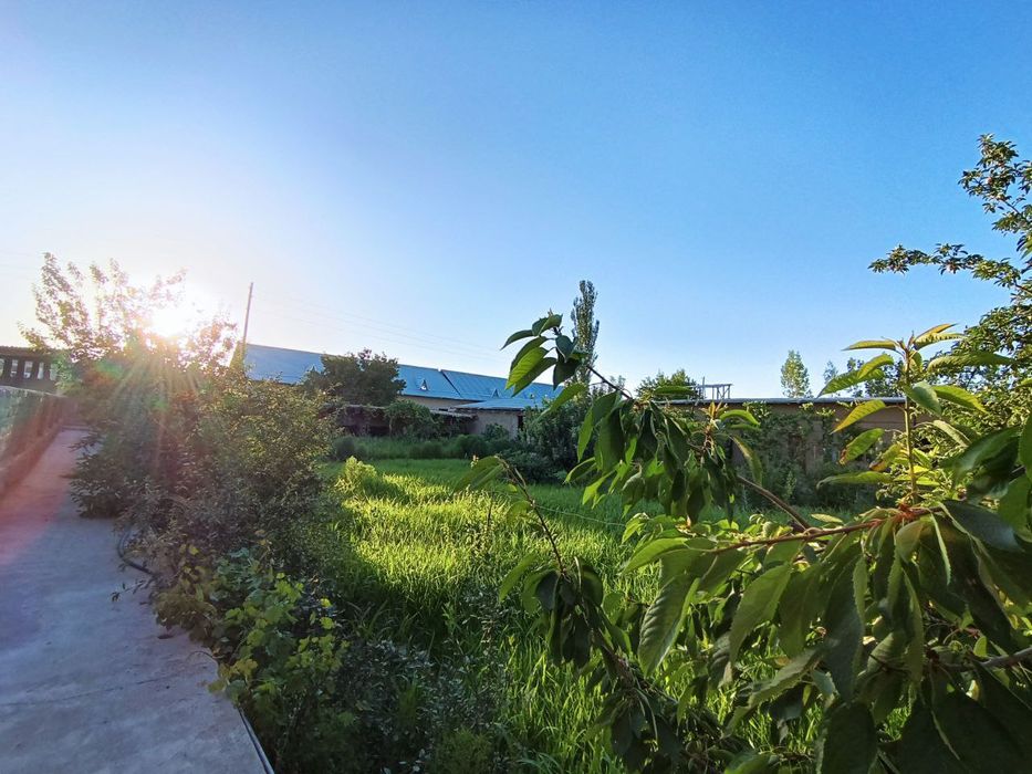 Hovli sotiladi: 12 sotix Navoiy viloyat Narpay tumani Kamolot mahalla