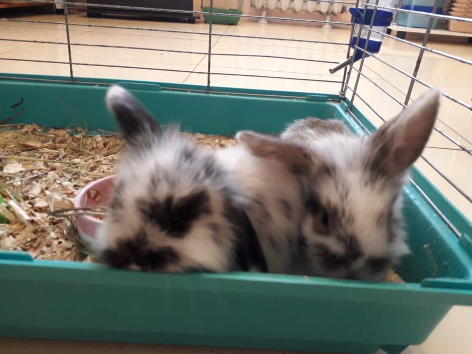 Подарок на 14 февраля !